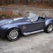 TN Shelby Cobra