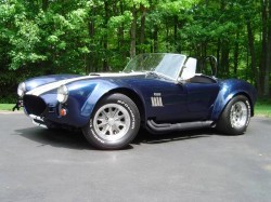 20287Cobra_Driveway-med2.jpeg