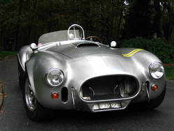 266_cobra_011.jpg