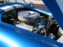 64_Cobra_20041.JPG