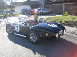 AC_Cobra5.jpg