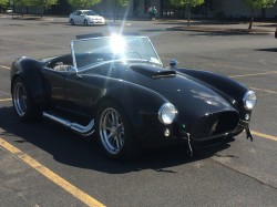 Cobra106.JPG