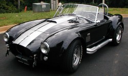 Cobra_Front_Left1.jpg