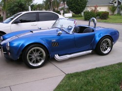 Cobra_Pics_016.JPG