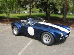 Cobra_Rt_1736.jpg