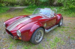 Ford-Cobra_02.jpg