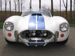 SHELBY66_0111.jpg