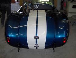 blue_cobra_002.jpg