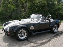 cobra_0103.jpg