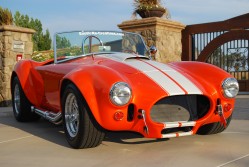 new_Cobra_pics_029.jpg