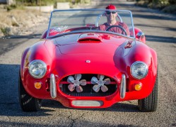 shelby_cobra_1966-83.jpg