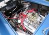 Cobra_302_Motor-3.jpg