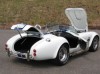 SHELBY66_0081.jpg