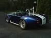 cobra_II_250.jpg