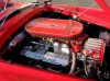 s_Cobra_017.jpg