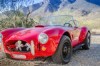 shelby_cobra_1966-3.jpg