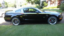 6-21-10_06_Mustang_8_.jpg