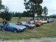 Group for Cobra owners in Christchurch New Zealand, to meet and share pictures and stories