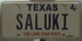 Texas-Saluki's Avatar
