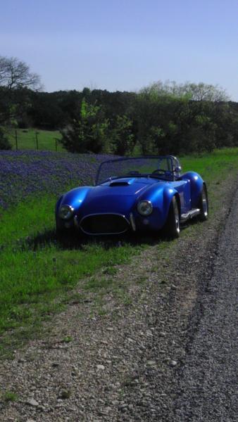 Spring drive