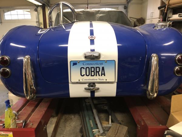 Stripes on the back done.