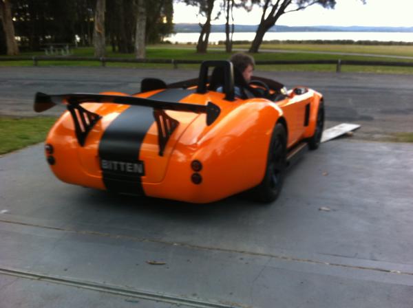 20120807 Cobra Bitten in Driveway