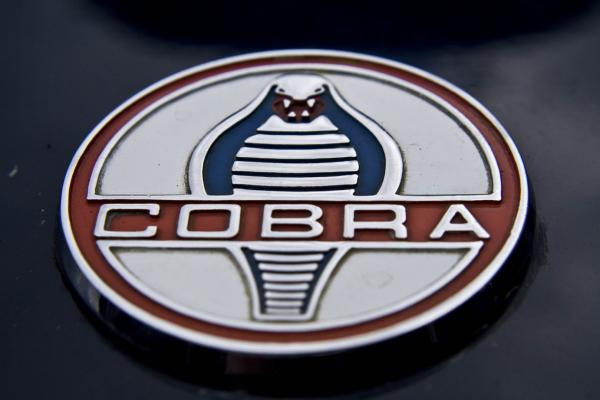 Shelby Emblem