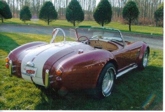Cobra4