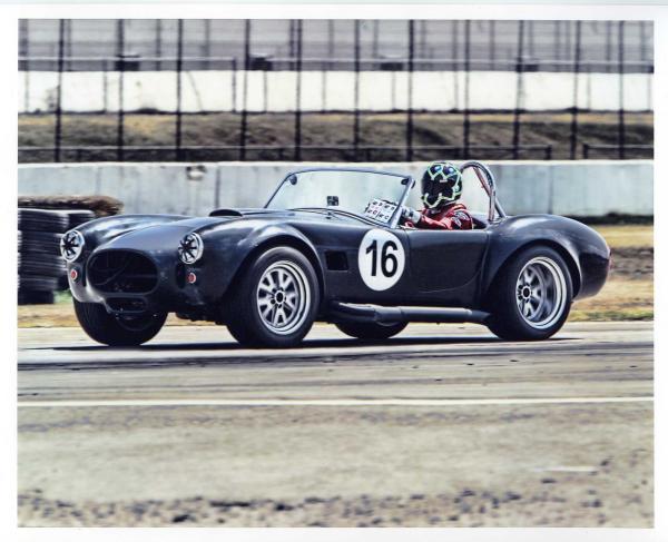 Cobra pic 1