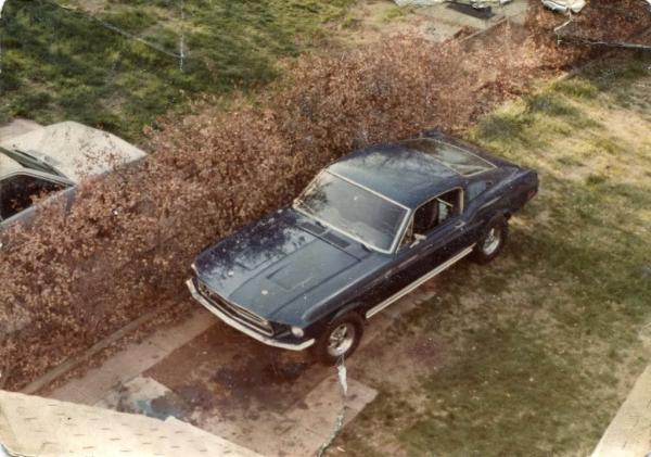 1982. 1968 GT Mustang Fastback, 428PI, 4spd, 4.11 rear, cragars, power steering, power disc brakes. Dark metallic blue, black interior. Originally Highland green 390.