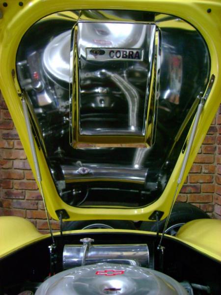Stainless bonnet inlay