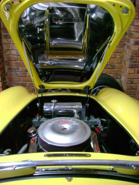 Engine bay and stainless bonnet inlay