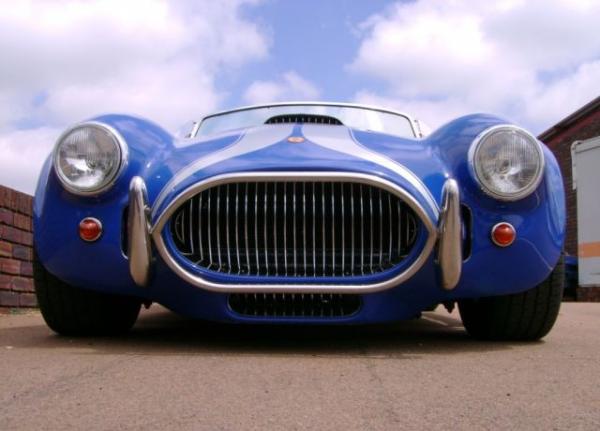Custom Grille in Blue Cobra