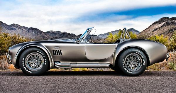 Cobra and the Scottsdale Mcdowell Mountains