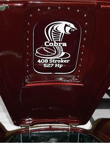 s cobra 3
