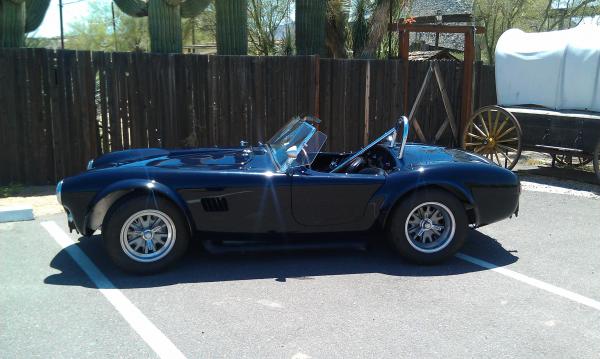 IMAG0021cobra