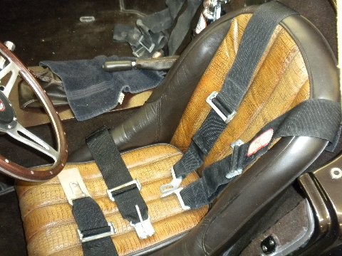 My guady seats
