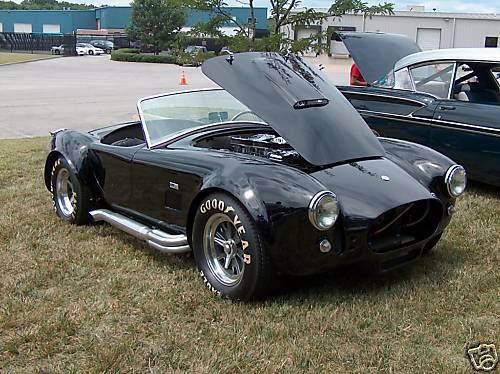 Cobra 1