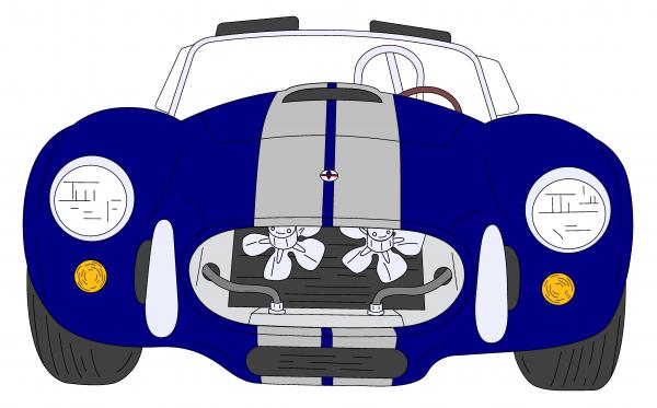 Cobra Front Drawing