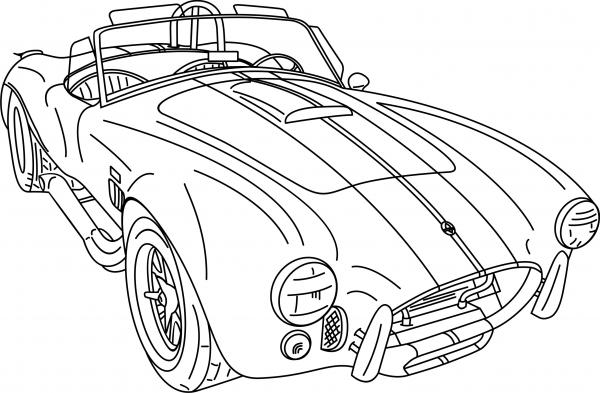 Cobra Drawing