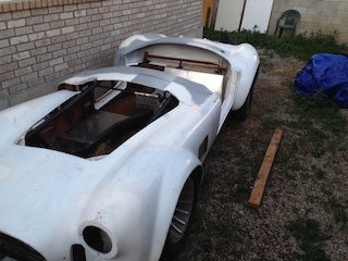 cobra body7