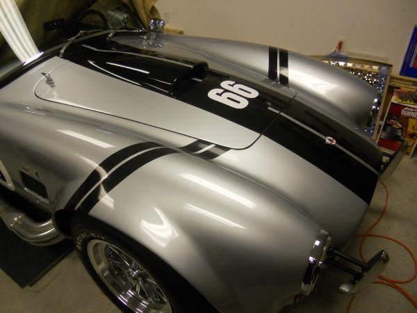 cobra stripes 001