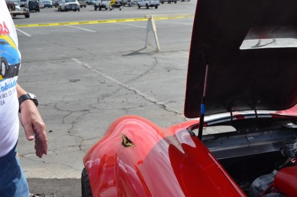 The Show @ Laughlin (10) (640x424)