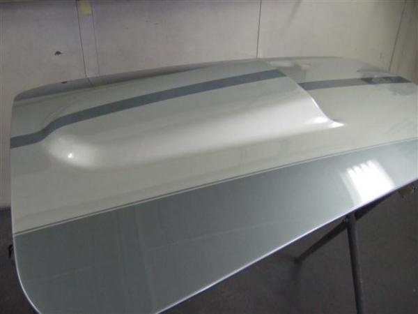 2009 0102cobrapainted0033 (Small)