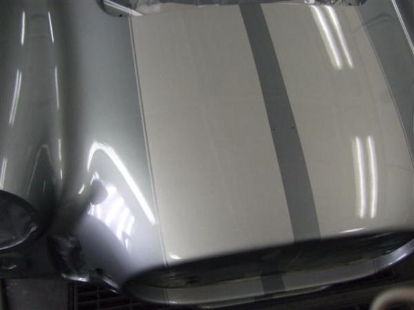 2009 0102cobrapainted0038 (Small)