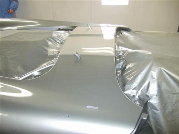 2009 0102cobrapainted0040 (Small)