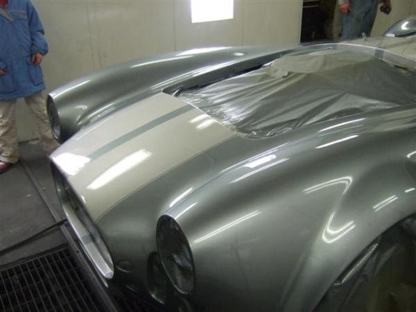 2009 0102cobrapainted0041 (Small)