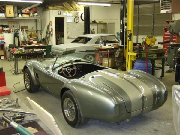 2009 0107cobrapainted20009 (Small)