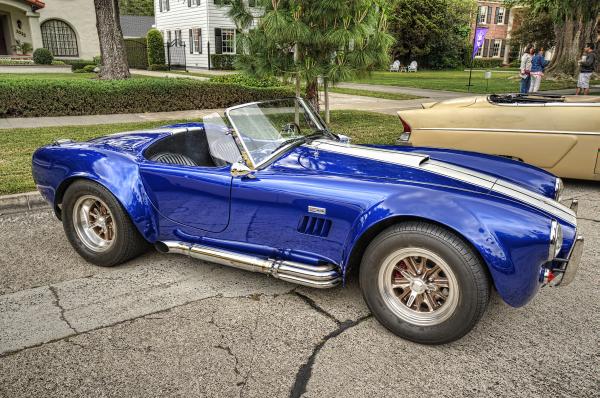 FP Cobra