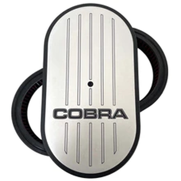 15 AIR CLEANER COBRA   web